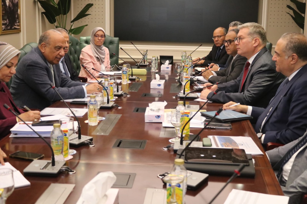 وزيرا الكهرباء والبترول يناقشان تحقيق الاستقرار للشبكة الموحدة خلال الصيف